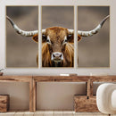 Texas Longhorn Wall Art Canvas Print – Brown Bull Rustic