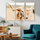 Texas Longhorn Wall Art Canvas Print – Framed Spotted Cow