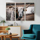 Texas Longhorn Wall Art Canvas Print – Framed Spotted Bull