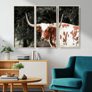 Texas Longhorn Wall Art Canvas Print – Framed Spotted Bull