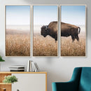 Wild Bison Wall Art – Framed Prairie Landscape Canvas by MyGreatCanvas | Canvas Wall Art Prints | Photo Prints & Wall Decor