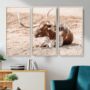 Texas Longhorn Wall Art Canvas Print – Framed Resting Bull by MyGreatCanvas | Canvas Wall Art Prints | Photo Prints & Wall Decor