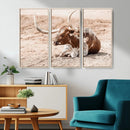 Texas Longhorn Wall Art – Framed Resting Bull Canvas by MyGreatCanvas | Canvas Wall Art Prints | Photo Prints & Wall Decor