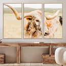 Texas Longhorn Wall Art Canvas Print – Framed Speckled Cow