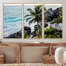 Tropical Coastline Wall Art Canvas Print – Framed Palm Tree