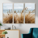Beach Grass Wall Art – Framed Coastal Dunes Canvas Artwork, by MyGreatCanvas | Canvas Wall Art Prints | Photo Prints & Wall Decor