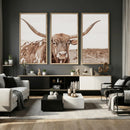 Longhorn Cow Wall Art Canvas Print – Framed Texas Ranch