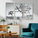 Joshua Tree Wall Art Canvas Print – Framed Black White