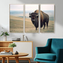 Bison Wall Art Canvas Print – Framed Buffalo American Bison