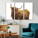 Highland Cow Wall Art Canvas Print – Framed Farmhouse Rustic by MyGreatCanvas | Canvas Wall Art Prints | Photo Prints & Wall Decor