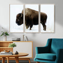 Bison Wall Art Canvas Print – Framed Western Wildlife