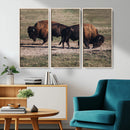 Bison Wall Art Canvas Print – Framed Western Wildlife Modern by MyGreatCanvas | Canvas Wall Art Prints | Photo Prints & Wall Decor