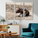 Texas Longhorn Wall Art Canvas Print – Framed Country Living