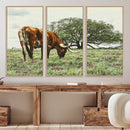 Texas Longhorn Wall Art Canvas Print – Rustic Western Ranch by MyGreatCanvas | Canvas Wall Art Prints | Photo Prints & Wall Decor