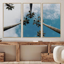 Tropical Palm Trees Wall Art Canvas Print – Framed