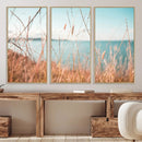 Coastal Grass Landscape Wall Art Canvas Print – Golden