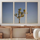 Joshua Tree Wall Art Canvas Print – Framed Southwestern