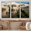 Tranquil Forest Scene Wall Art Canvas Print – Framed Moody by MyGreatCanvas | Canvas Wall Art Prints | Photo Prints & Wall Decor