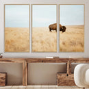 Buffalo Wall Art Canvas Print – Framed Western Wildlife by MyGreatCanvas | Canvas Wall Art Prints | Photo Prints & Wall Decor