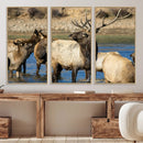 Wild Elk Wall Art Canvas Print – Framed Neutral Wildlife