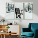 Moose Snow Wall Art Canvas Print – Framed Winter Wildlife