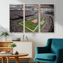 Chicago Bears Soldiers Field Wall Art Canvas Print – Framed