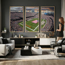 Chicago Bears Soldiers Field Wall Art Canvas Print – Framed