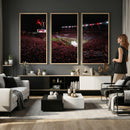 William Brice Stadium Wall Art Print – Baseball Game Room
