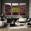 Tennessee Neyland Stadium Wall Art, Sports Arena Canvas by MyGreatCanvas | Canvas Wall Art Prints | Photo Prints & Wall Decor