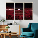 Dooley Stadium Wall Art, Sports Arena Canvas Print, Dooley by MyGreatCanvas | Canvas Wall Art Prints | Photo Prints & Wall Decor