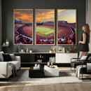 Dooley Stadium Wall Art, Sports Arena Canvas Print, Dooley