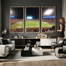 Dooley Stadium Wall Art, Sports Arena Panoramic Canvas