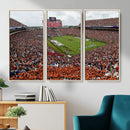 Jordan-Hare Stadium Wall Art Canvas Print, College Sports by MyGreatCanvas | Canvas Wall Art Prints | Photo Prints & Wall Decor