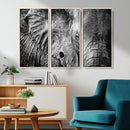 Wild Old Elephant Wall Art Canvas Print