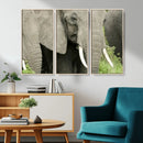 Wild Elephant Wall Art Canvas Print by MyGreatCanvas | Canvas Wall Art Prints | Photo Prints & Wall Decor