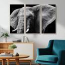 Big Elephant Close Up Wall Art Canvas Print