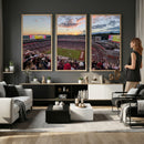 Donald W. Reynolds Razorback Stadium Wall Art Canvas Print –