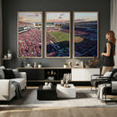 Donald W. Reynolds Razorback Stadium Wall Art Canvas Print –