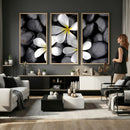 Plumeria Frangipani Black Stone Canvas | White Flower Spa by MyGreatCanvas | Canvas Wall Art Prints | Photo Prints & Wall Decor