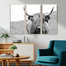 Newfoundland Cow Art Wall Art, Black White Cow Art Wall Art