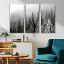 Big Foggy Forest and Misty Trees Forest Wall Art Canvas by MyGreatCanvas | Canvas Wall Art Prints | Photo Prints & Wall Decor