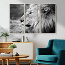 Lion Wall Art Canvas Print – Framed Majestic Wildlife by MyGreatCanvas | Canvas Wall Art Prints | Photo Prints & Wall Decor