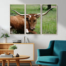 Longhorn Steer Canvas Wall Art – Rustic Nature Triptych