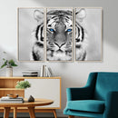 Black and White Tiger Wall Art Animal Canvas Print