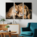 Lion and Lioness Wall Art Canvas Print – Framed African
