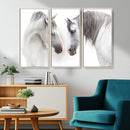 White Horse Wall Art Animal Canvas Print by MyGreatCanvas | Canvas Wall Art Prints | Photo Prints & Wall Decor