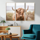 Scottish Serene Highland Cow Canvas Wall Art – Serene