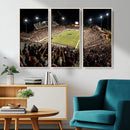 Washington-Grizzly Stadium Canvas Wall Art – Exciting Game