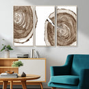 Wood Tree Ring Wall Art Canvas Prints, Tree Rings –