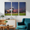 Philadelphia Phillies Baseball Print - Philadelphia Citizens